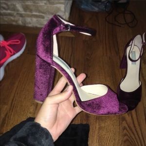 Betsy Johnson velvet shoes